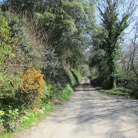 Higher Coombe Bovey Tracey Kültér fotó