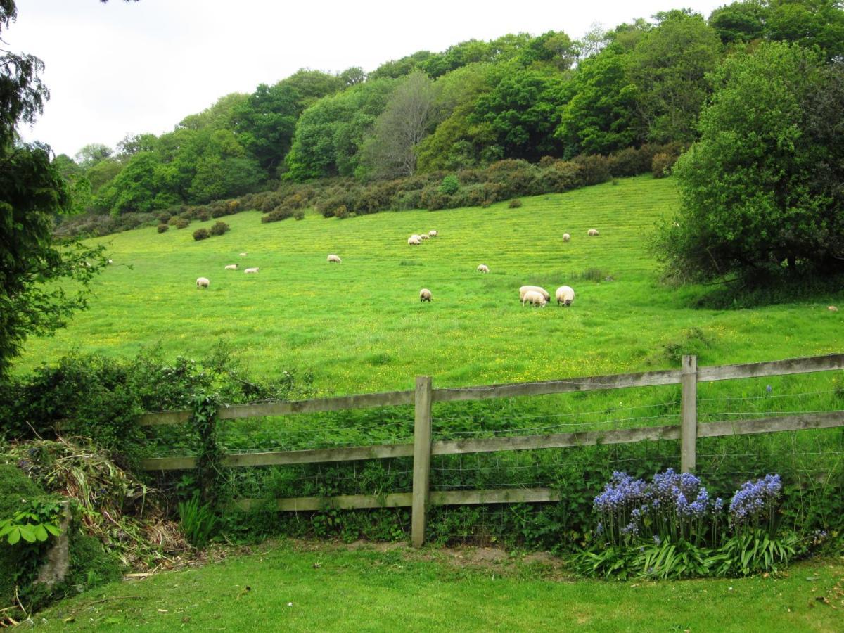 Higher Coombe Bovey Tracey Kültér fotó