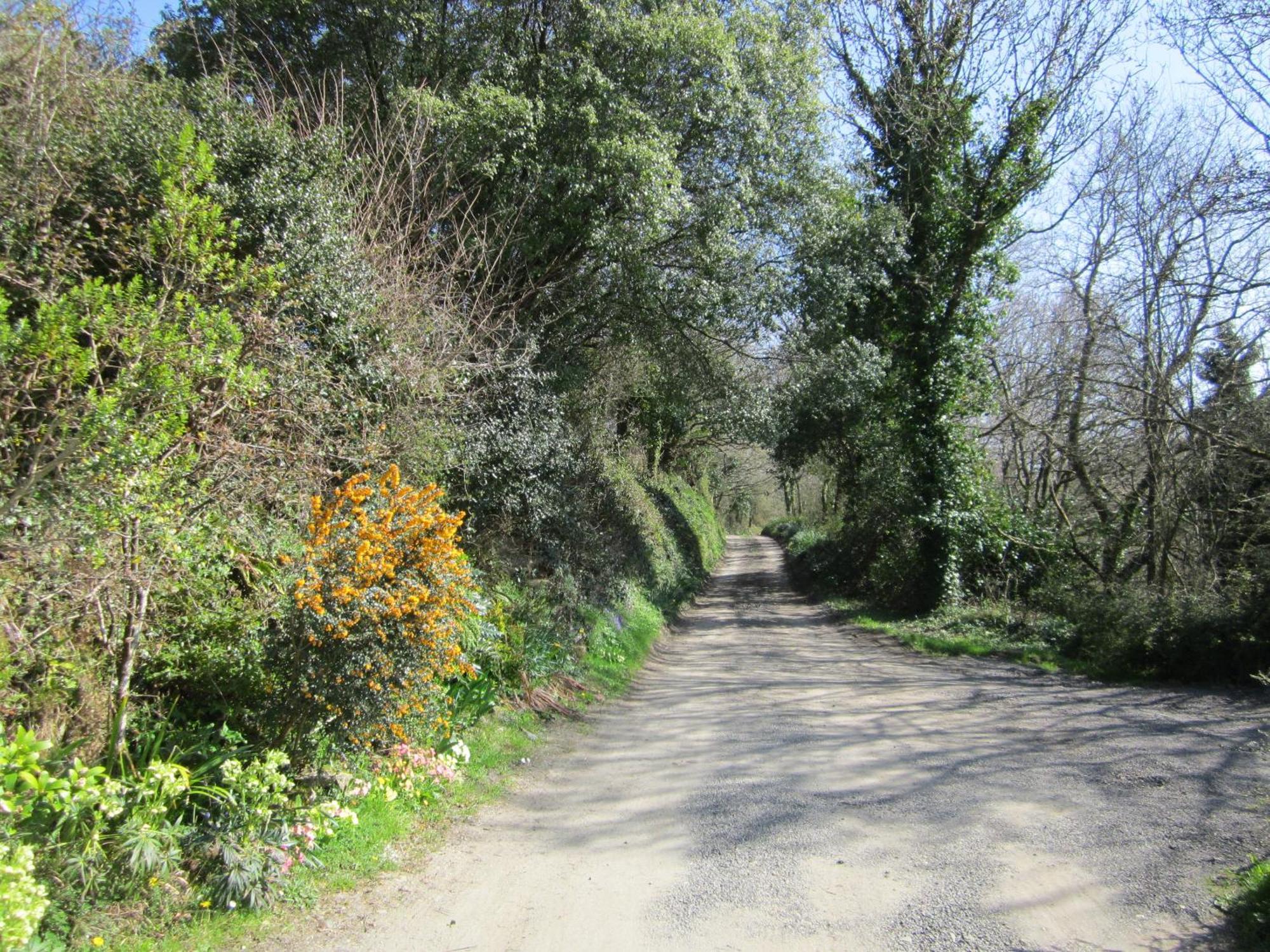 Higher Coombe Bovey Tracey Kültér fotó